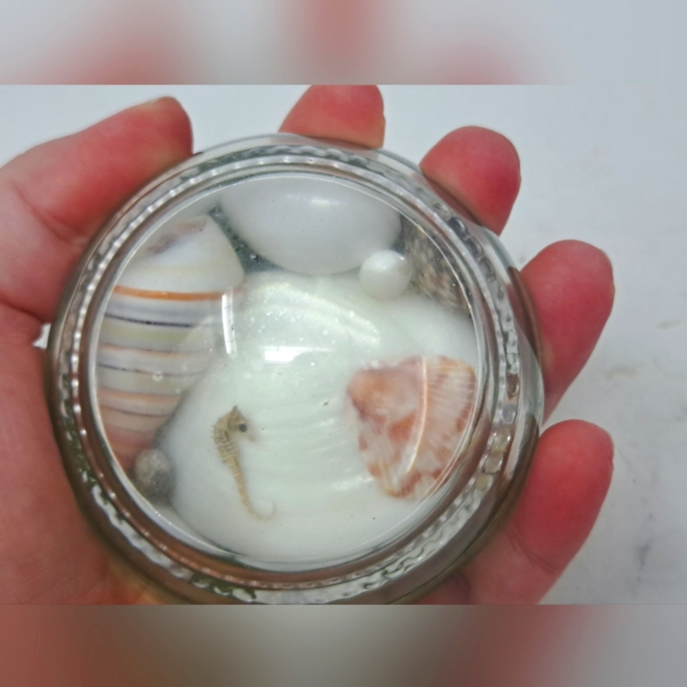 Vintage Glass Paper Weight Filled With Sea Shells And Small Sea Horse